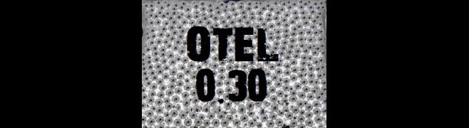 Bile airsoft otel 0.30 grame